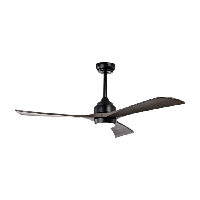 Black Ceiling Fan with Light